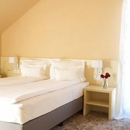 Sarea-n Bucate Guest house 5*